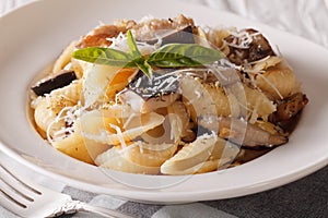 Italian cuisine: Conchiglie with porcini and parmesan close-up.