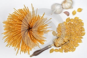 Italian Cuisine - Conchiglie and Spaghetti pasta