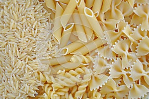 Italian cuisine pasta varieties