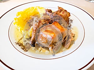 Italian cuisine - Rabbit with polenta close up photo