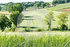 Italian cultivated rural landscape wide angle view