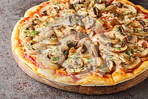 Italian Delicious Fresh Hot Baked Pizza with Melting Cheese, sliced mushrooms , tomato sauce close-up on a wooden board.