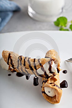 Italian dessert canolli with ricotta filling