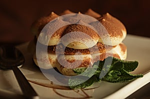 Italian dessert - tiramissu