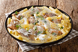 Italian dinner of pasta Tortiglioni with chicken in cheese cream sauce with herbs close up in a dish. horizontal