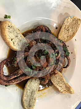 Italian dish octopus luciana with tomato souce photo