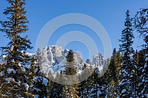 Italian Dolomites mountains landscape on winter, Passo San Pellegrino, Moena, Trentino