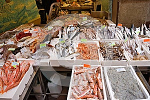 Italian fish market