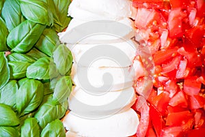 Italian flag from food