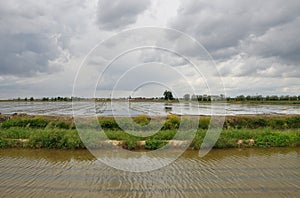 Italian flooded rice fields by Novara photo