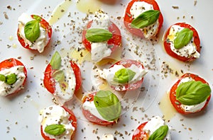 Italian summer food: caprese salad on a white plate