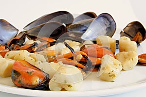 Italian food: gnocchi with mussels