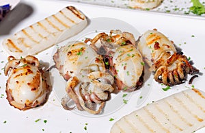 Italian food, grilled squids