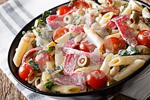 Italian food: penne pasta with salami, cheese, and vegetables cl