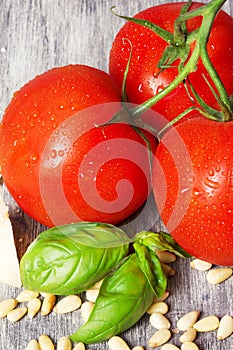 Italian fresh tomatoes and other pasta ingredients on a rustic table