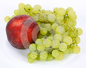 Italian freshly picked fruits