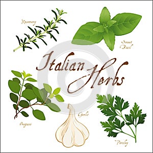 Italian Herbs for Regional Cuisine