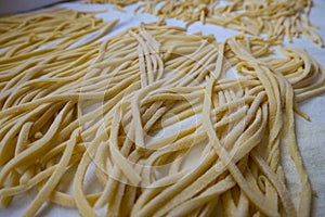 Italian home made traditional pasta named troccoli