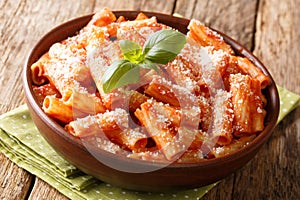 Italian homemade Tortiglioni pasta with parmesan basil in tomato sauce close-up in a plate. horizontal