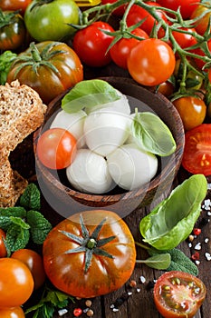 Italian ingridients for caprese salad