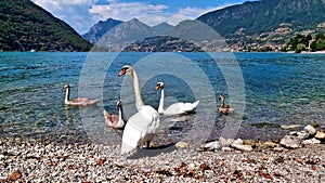 Italian lakes scenery. Iseo lake , Peschiera Maraglio village. Italy, Brescia province