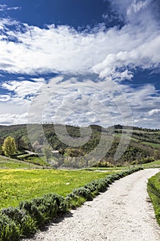 Italian landscape with dirt roads.