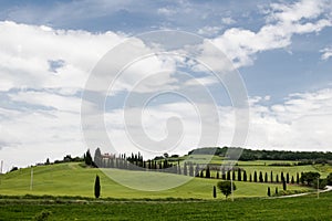 Italian landscape with green fields in spring, holidays in Italy in Umbria and Tuscany. Travel drive in the Tuscany countryside