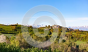 Italian landscape: the hill around the village of Belvedere Lang