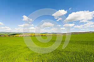 Italian landscape with meadows