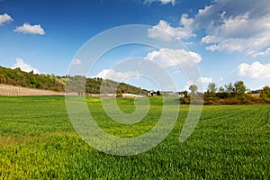 Italian landscape. Near Costigliole d`Asti, Piedmont, Noth Italy