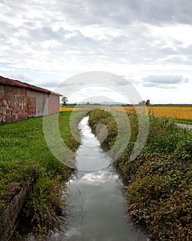 Italian landscape in Piedmont, stream and rice fields in a rainy