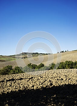 Italian Landscape in the Tuscan hills