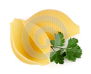 Italian lumaconi with leaf parsley isolated on white background. Lumache, snailshell shaped pasta