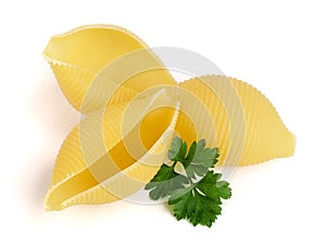 Italian lumaconi with leaf parsley isolated on white background. Lumache, snailshell shaped pasta