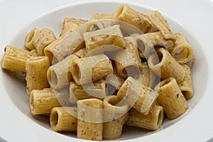 Italian Macaroni pasta with porcini mushroom sauce
