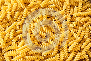 Italian Macaroni Pasta raw close up