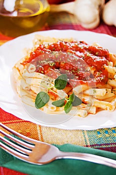 Italian macaroni pasta with tomato sauce