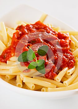 Italian macaroni pasta with tomato sauce