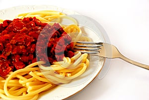 Italian macaroni spagetti