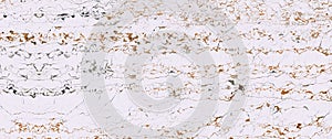 Italian marble slab stone pattern and texture background