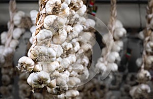 Italian market garlic string hang background photo