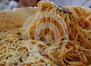 Italian mom`s pasta photo