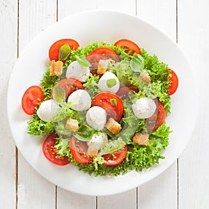 Italian mozzarella cheese and tomato salad