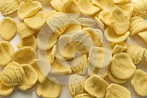 Italian orecchiette pasta