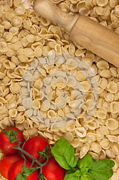 Italian Orecchiette Pasta fatte a mano