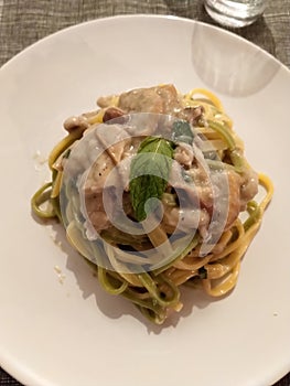 Italian paglia e fieno fettuccine with porcini mushrooms photo