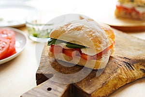 Italian Panini sandwich PANINO CAPRESE