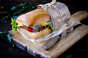 Italian panini sandwich img
