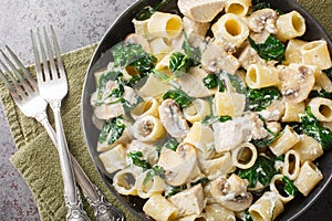 Italian pasta with chicken breast, mushrooms and spinach in creamy cheese sauce close-up in a plate. Horizontal top view