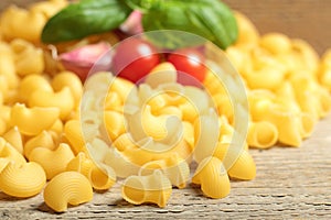 Italian pasta chiocciole
